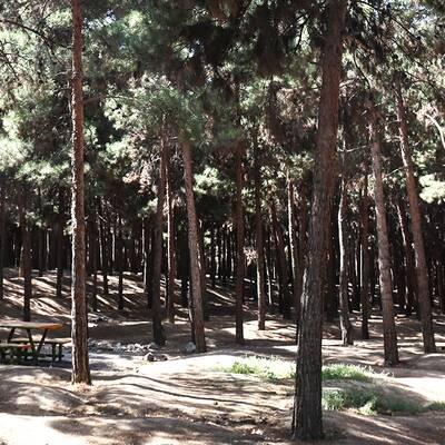 سرخه حصار جنگل زیبای تهران